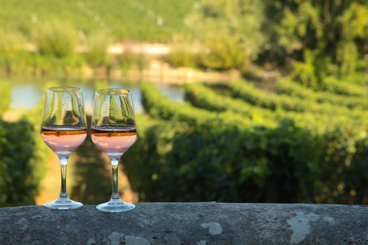 Pey La Tour - Logis Hotels & Restaurant Salleboeuf Εξωτερικό φωτογραφία